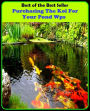 Best of The Best Sellers Purchasing The Koi For Your Pond Wps (- basin, lagoon, pool, puddle, dew, millpond, splash, duck pond, lily pond, small lake)