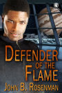 Defender of the Flame (Inspector of the Cross, #3)