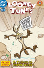 Looney Tunes (1994-) #93