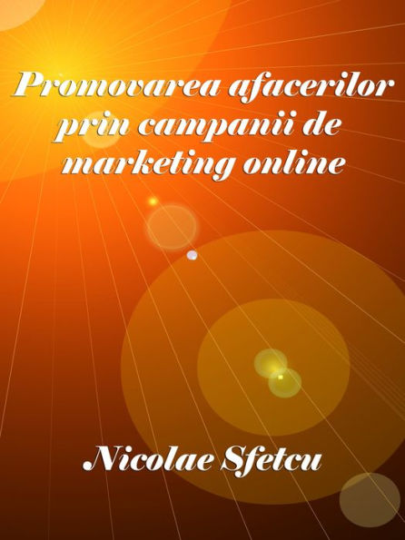 Promovarea afacerilor prin campanii de marketing online