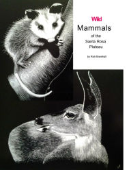 Title: Wild Mammals of the Santa Rosa Plateau, Author: Rick Bramhall