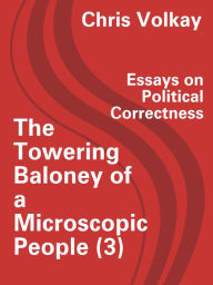 Political correctness essay