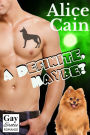 A Definite, Maybe? [Gay Erotic romance]