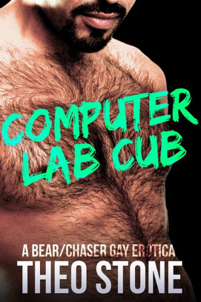 Computer Lab Cub