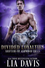 Divided Loyalties (Ashwood Falls Series #4)