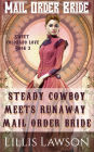 Steady Cowboy Meets Runaway Mail Order Bride (The Murphy Cowboy Brothers Looking For Love: Sweet Colorado Love, #3)