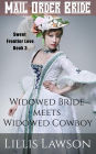 Widowed Bride Meets Widowed Cowboy (Colorado Cowboys Looking For Love, #3)
