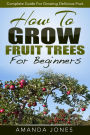How To Grow Fruit Trees For Beginners: Complete Guide For Growing Delicious Fruit
