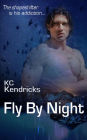 Fly By Night (The Sundown Saga, #5)