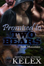 Promised to Two Bears