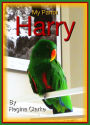 My Parrot Harry