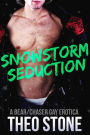 Snowstorm Seduction