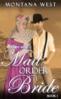 A New Mexico Mail Order Bride 1 (New Mexico Mail Order Bride Serial (Christian Mail Order Bride Romance), #1)