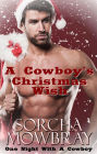 A Cowboy's Christmas Wish (One Night With A Cowboy, #3)