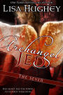 Archangel Jed (The Seven #2 Novella)