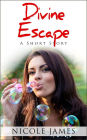 Divine Escape - A Short Story (The Inspirational Short Story Series, #3)