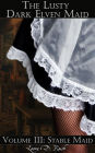 The Lusty Dark Elven Maid III: Stable Maid