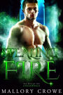 Stealing Fire (Bad Boys Of The Underworld, #5)