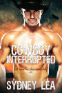 Cowboy Interrupted