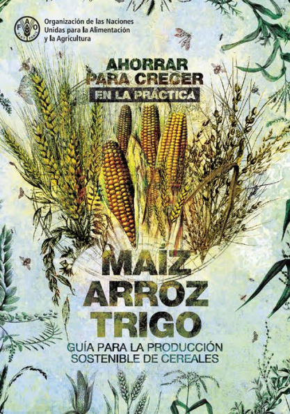 Ahorrar para crecer en la práctica: maíz, arroz, trigo: Guía para la producción sostenible de cereales