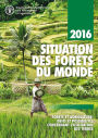 Situation des Forêts du monde 2016: Forêts et agriculture: défis et possibilités concernant l'utilisation des terres