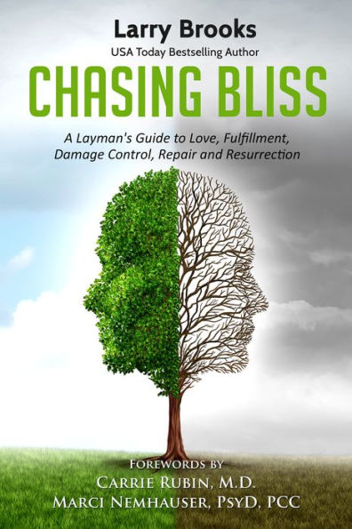 Chasing Bliss: A Layman's Guide to Love, Fulfillment, Damage Control, Repair and Resurrection