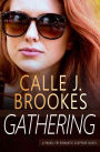 Gathering (PAVAD: FBI Romantic Suspense, #12)