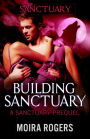 Building Sanctuary (Red Rock Pass, #5)