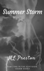 Summer Storm (Southern Charm, #1)