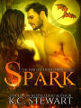 Spark (Hailey Holloway, #1)