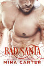 Bad Santa (Paranormal Protection Agency, #9)
