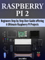 Raspberry Pi 2: Beginners Step by Step User Guide offering 6 Ultimate Raspberry Pi Projects