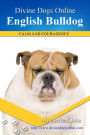 English Bulldog