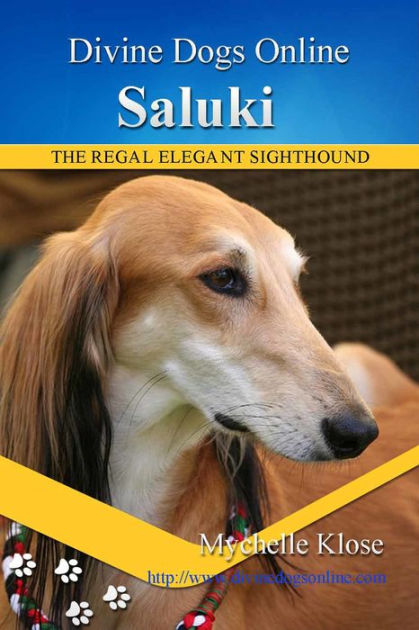 Saluki by Mychelle Klose, Paperback Barnes Noble®