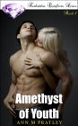 Amethyst of Youth (Forbidden Conflicts, #1)