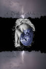 A Twilight Abduction (Alex & Fiona, book 3)