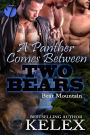 A Panther Comes Between Two Bears (Bear Mountain, #19)