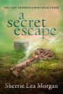 A Secret Escape: The Lost Trinkets Series Book Three