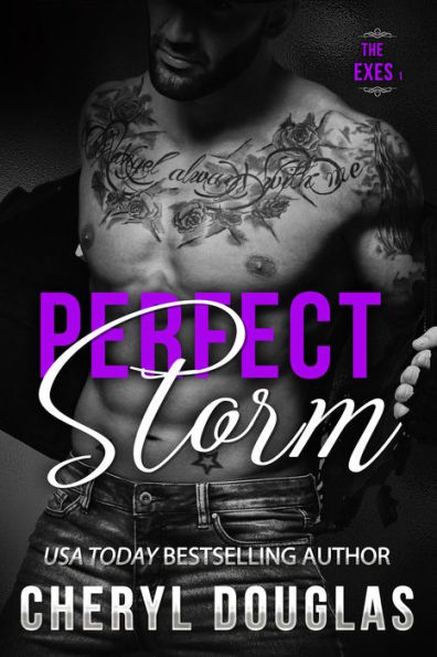 Perfect Storm (Second Chance Romance)