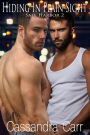 Hiding In Plain Sight (Safe Harbor, #2)