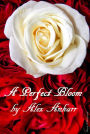 A Perfect Bloom