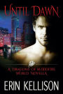 Until Dawn (A Dragons of Bloodfire World Novella)