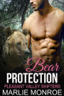 Bear Protection (Pleasant Valley Shifters, #1)