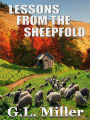 Lessons from the Sheepfold