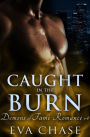 Caught in the Burn (Demons of Fame Romances, #4)