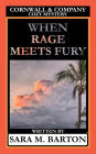 When Rage Meets Fury (A Cornwall & Company Mystery, #4)