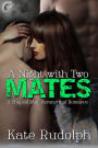 A Night with Two Mates: A Shapeshifter Paranormal Romance