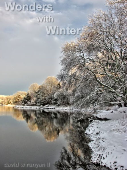 Wonders with Winter