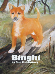 Title: Binghi, Author: Sue Muldowney