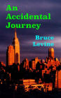 An Accidental Journey